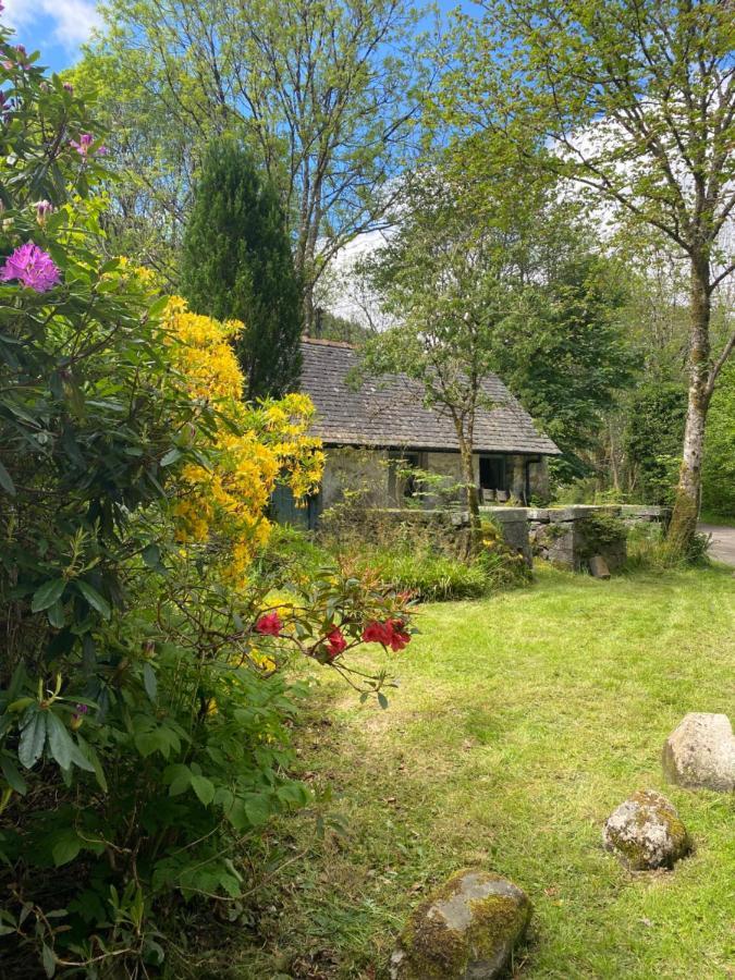 Woodland Cabins, Glencoe Holiday home