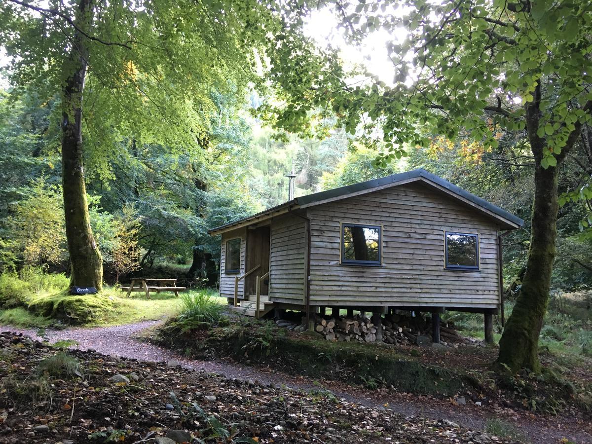 Woodland Cabins, Glencoe *