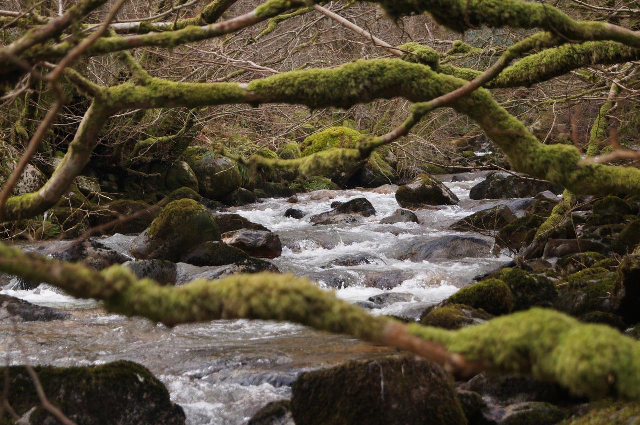 Woodland Cabins, Glencoe Ballachulish