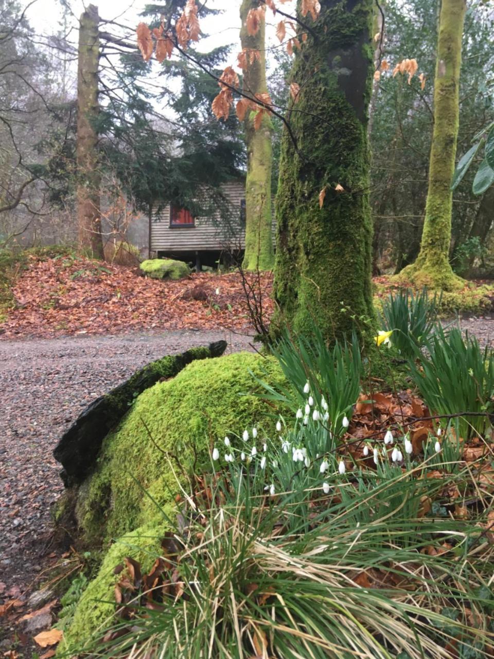 Woodland Cabins, Glencoe * Ballachulish